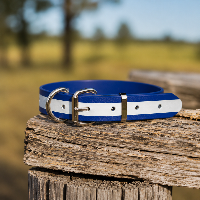 Heavy-Duty PVC Dog Collars