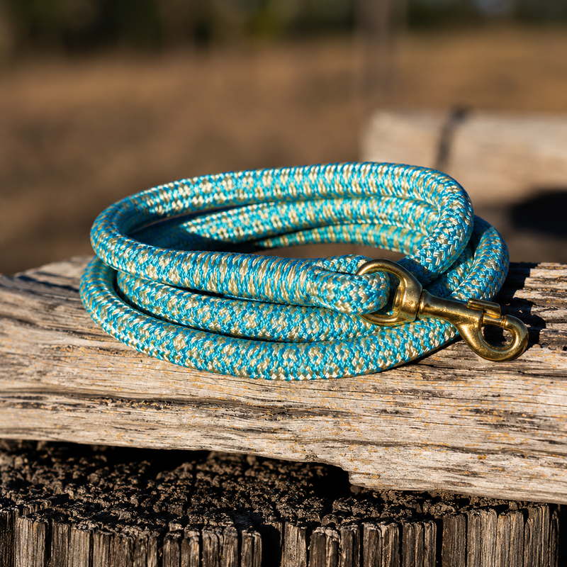Double Braided Rope Dog Lead