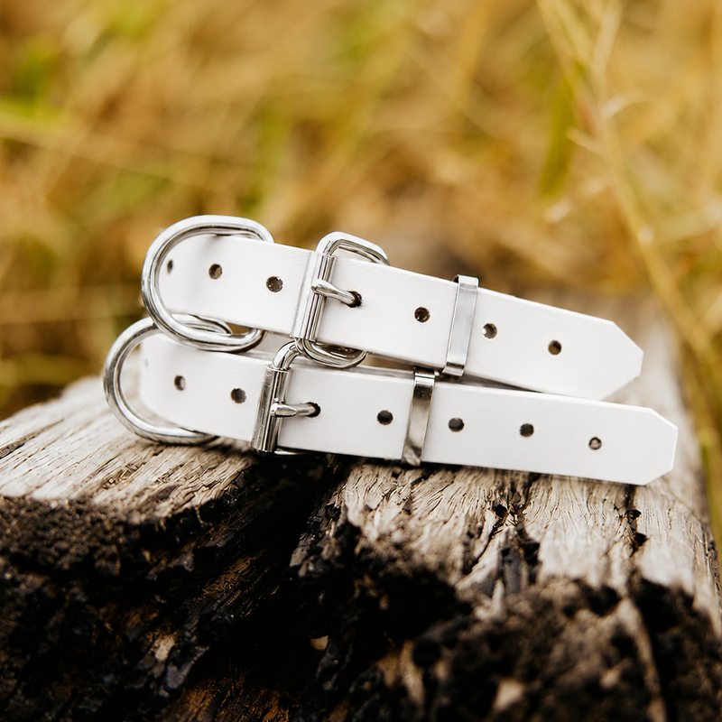 BioThane® Dog Collars