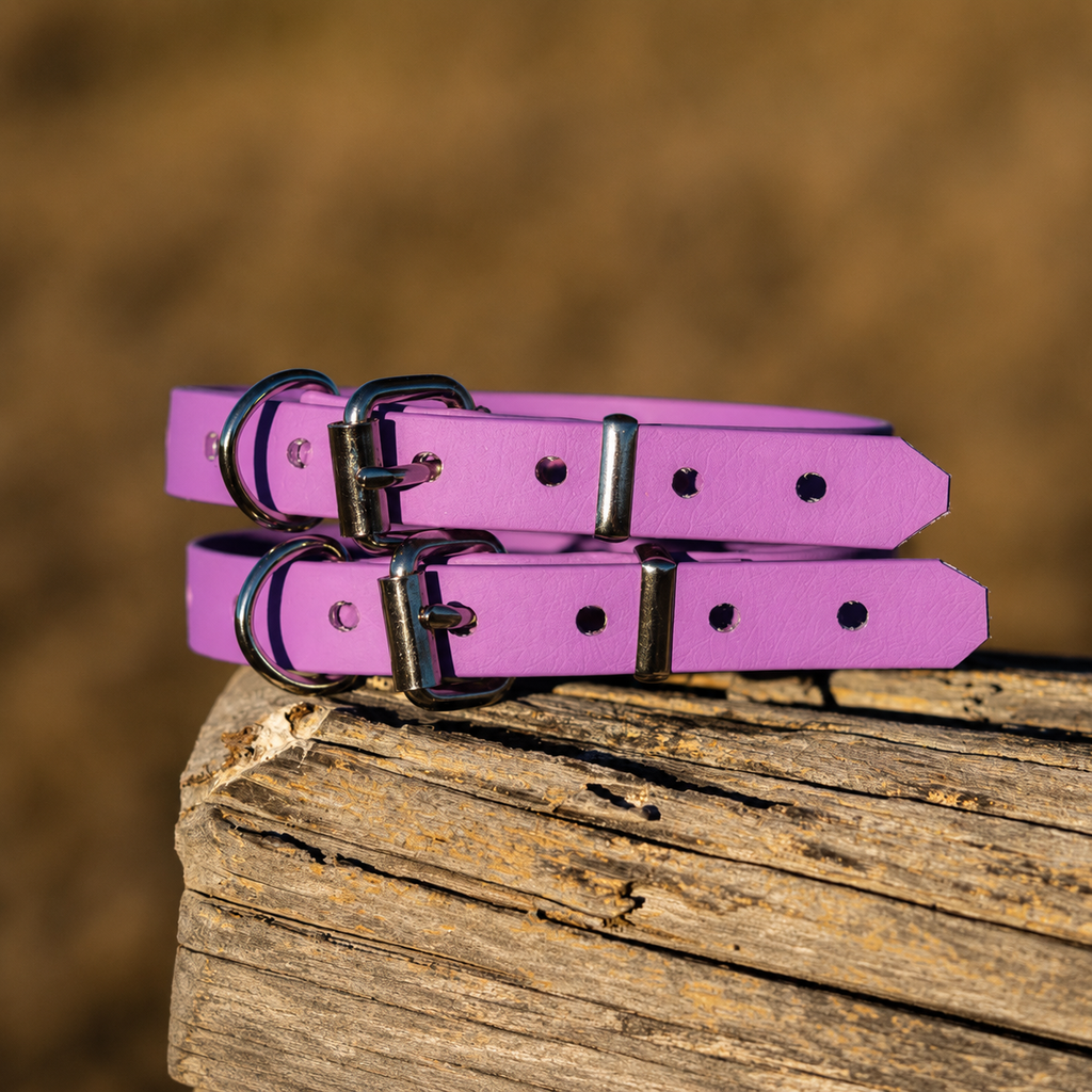 Waterproof BioThane® Dog Collar – Amethyst