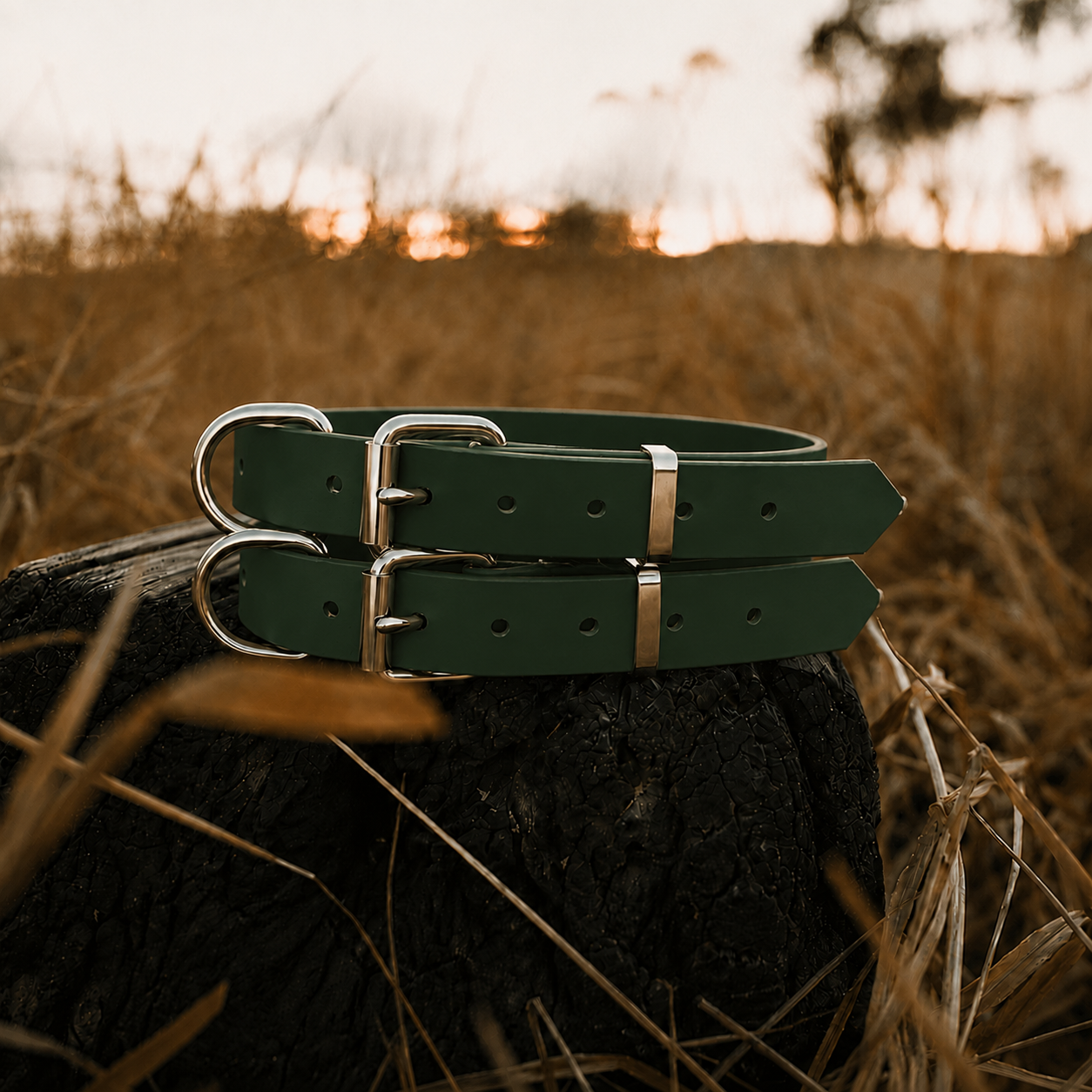 Waterproof BioThane® Dog Collar – Dark Emarald