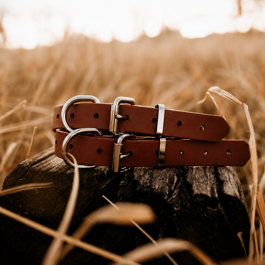 Waterproof BioThane® Dog Collar – Chocolate
