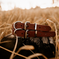 Waterproof BioThane® Dog Collar – Chocolate