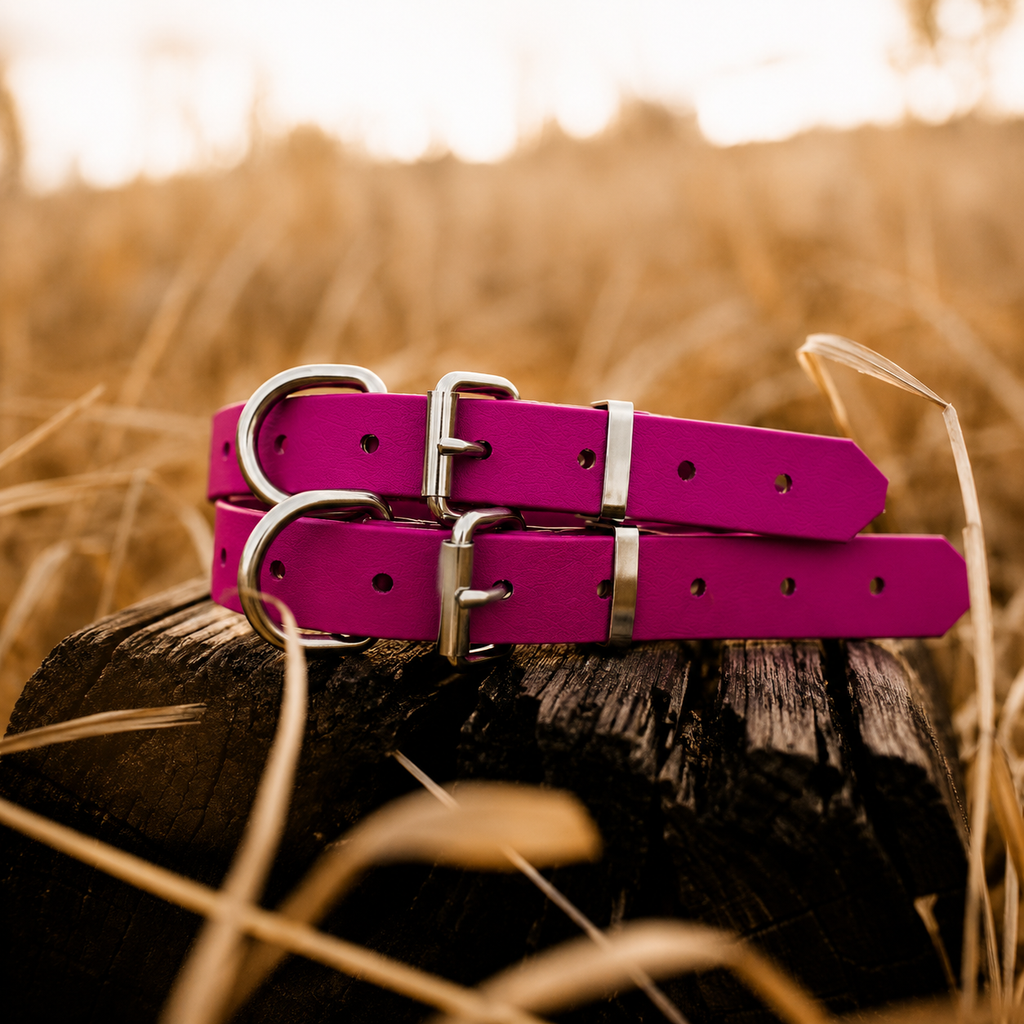 Waterproof BioThane® Dog Collar – Magenta