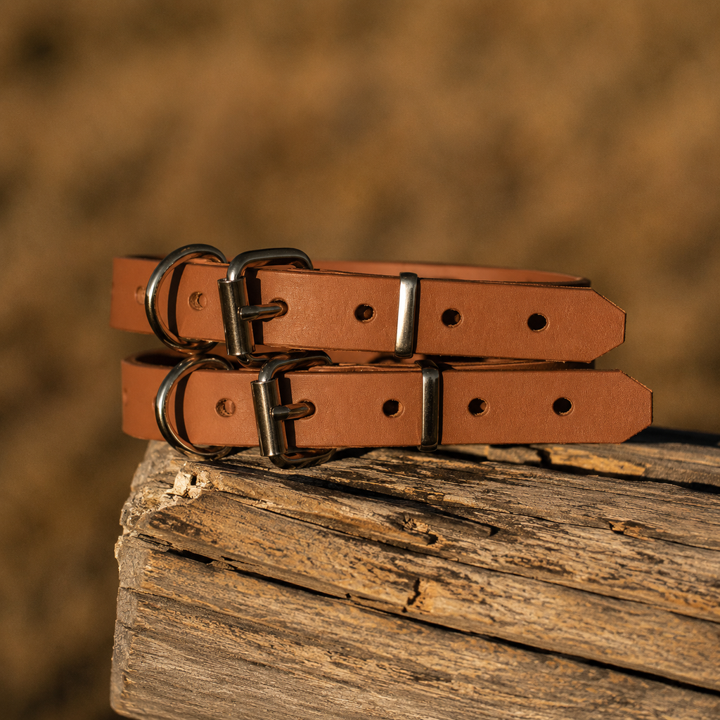 Waterproof BioThane® Dog Collar – Caramel
