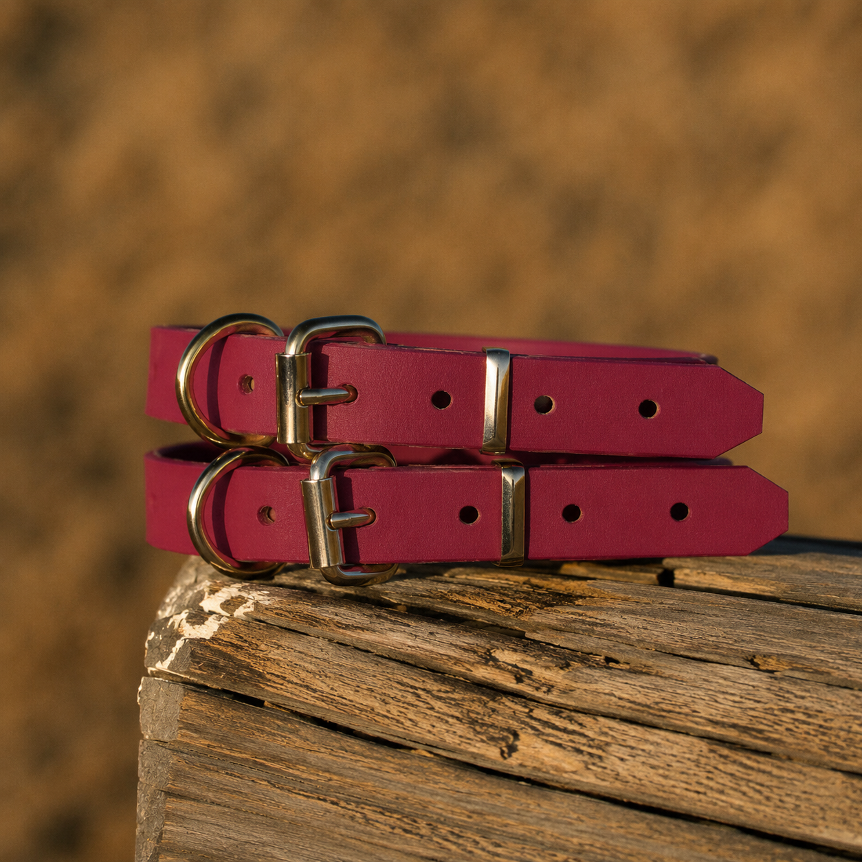 Waterproof BioThane® Dog Collar – Dark Red