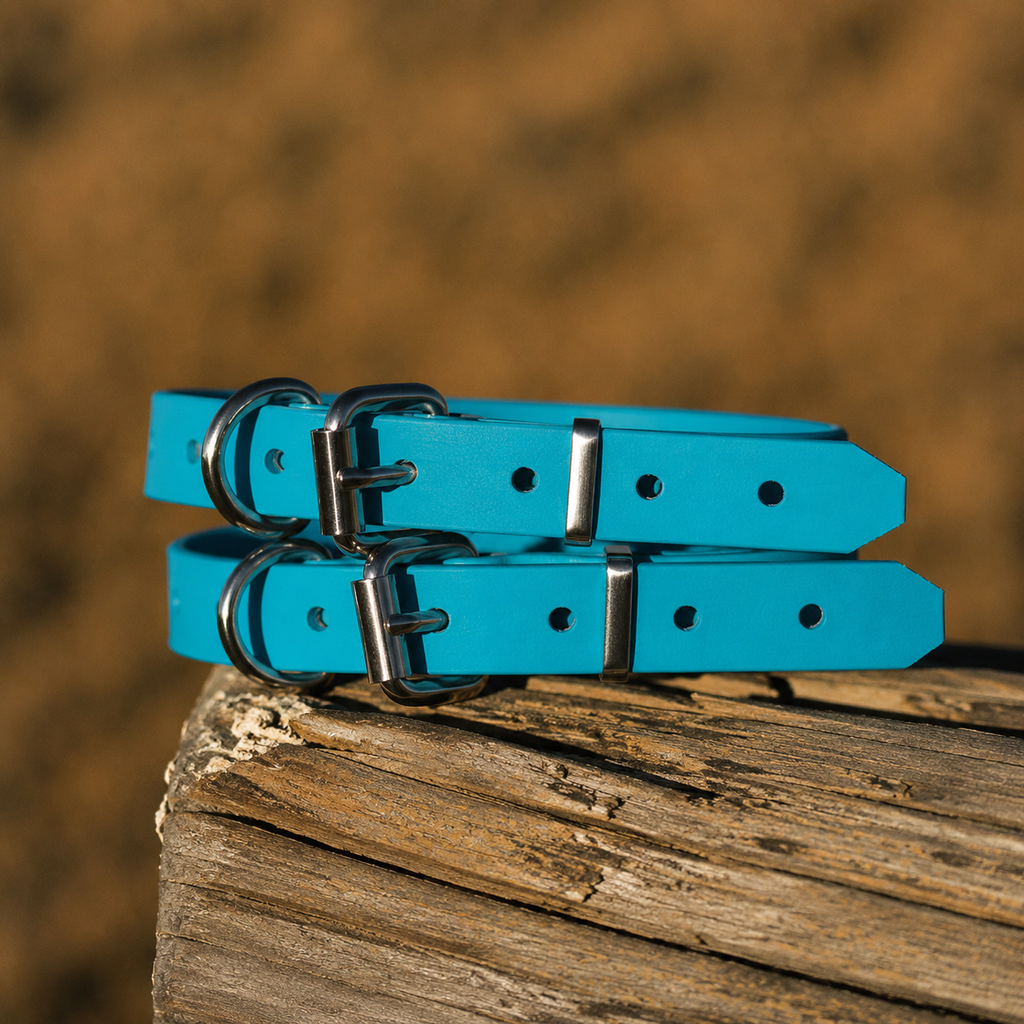 Waterproof BioThane® Dog Collar – Lagune Blue