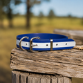 Heavy-Duty Reflective PVC Dog Collar - Blue