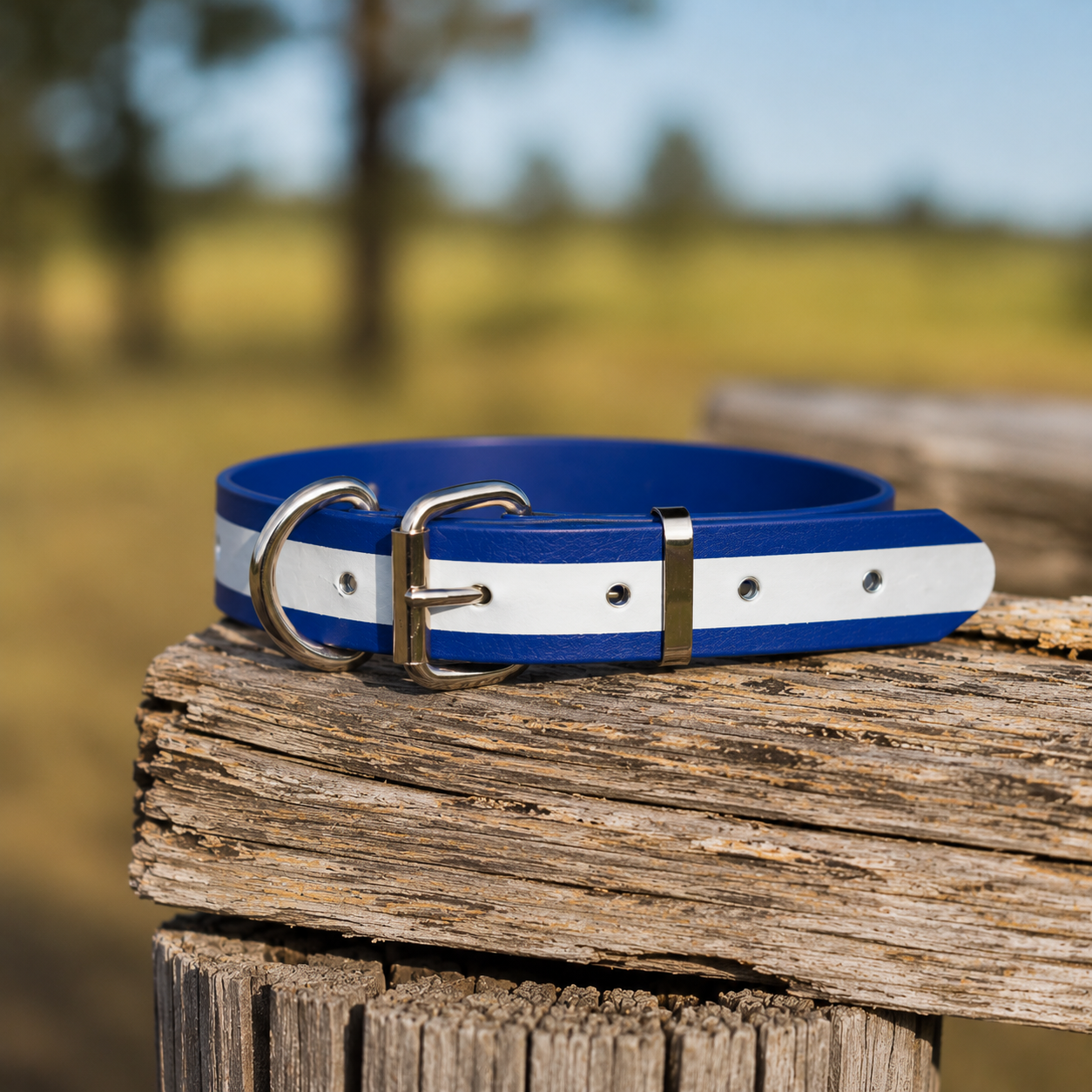 Heavy-Duty Reflective PVC Dog Collar - Blue