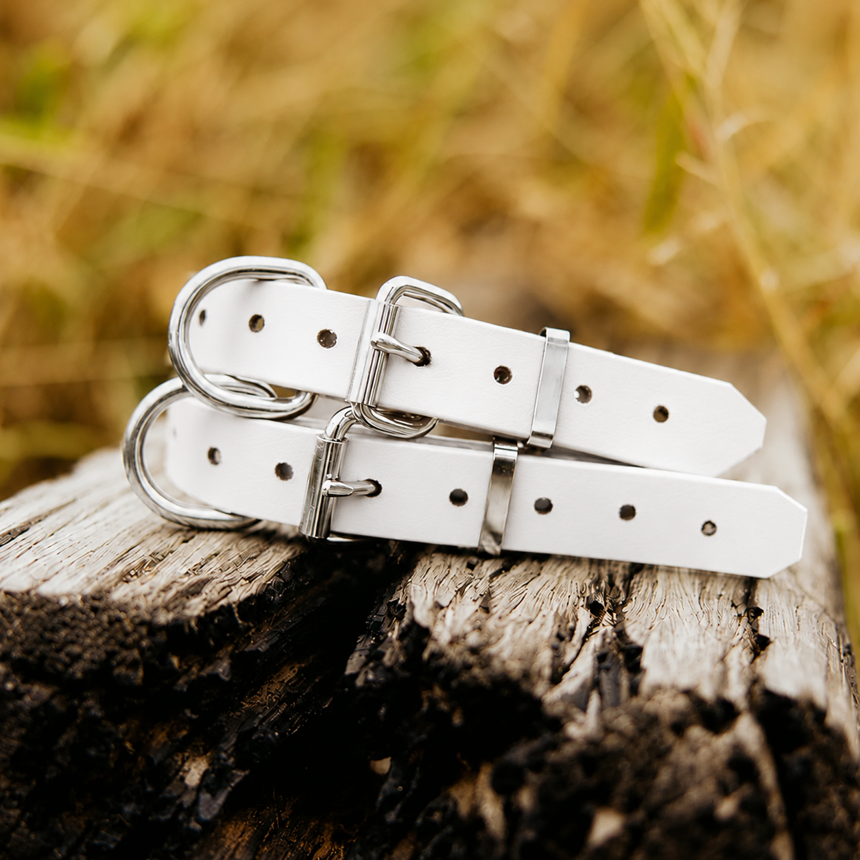 Waterproof BioThane® Dog Collar – White