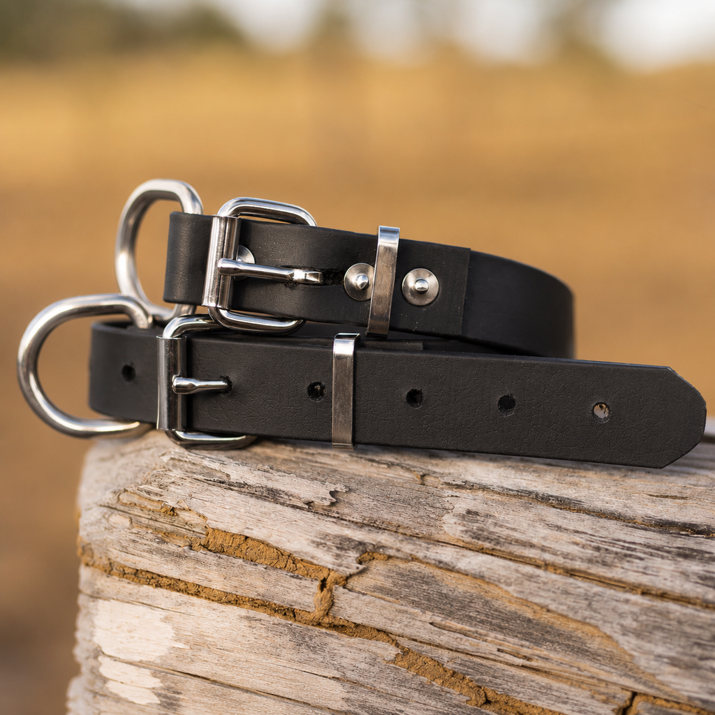 Waterproof BioThane® Dog Collar – Black