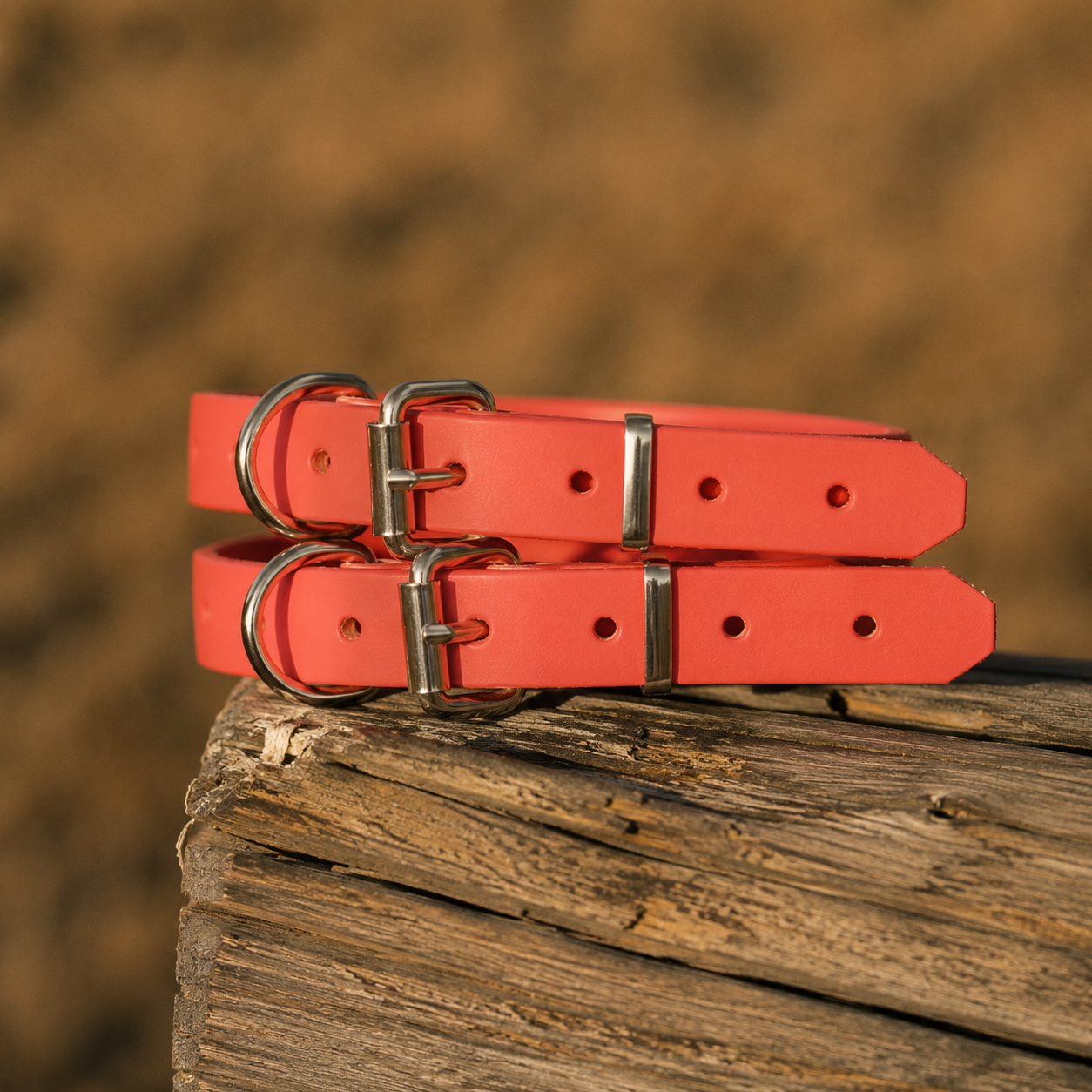 Waterproof BioThane® Dog Collar – Coral
