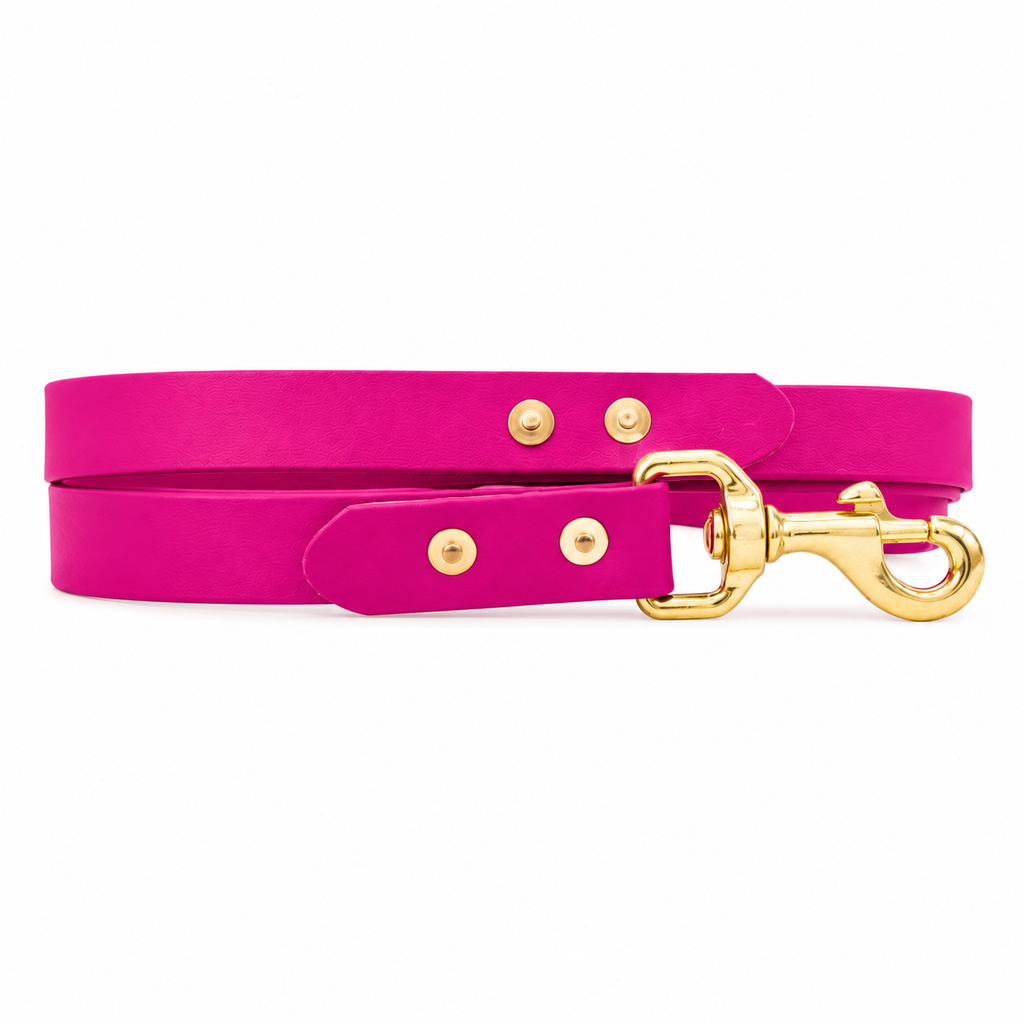 Waterproof BioThane® Dog Lead