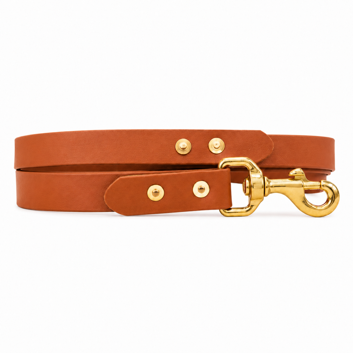 Waterproof BioThane® Dog Lead