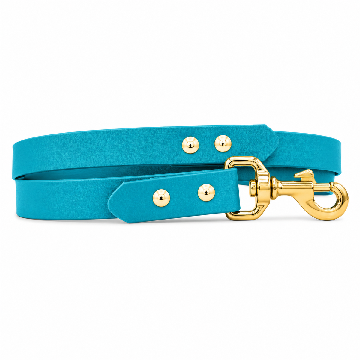 Waterproof BioThane® Dog Lead