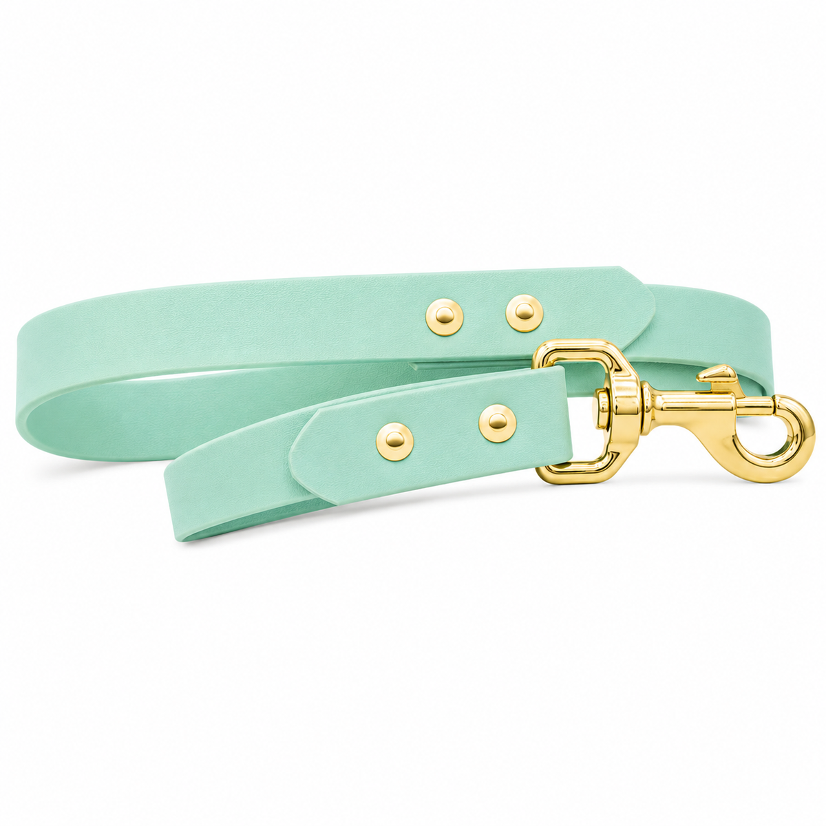 Waterproof BioThane® Dog Lead