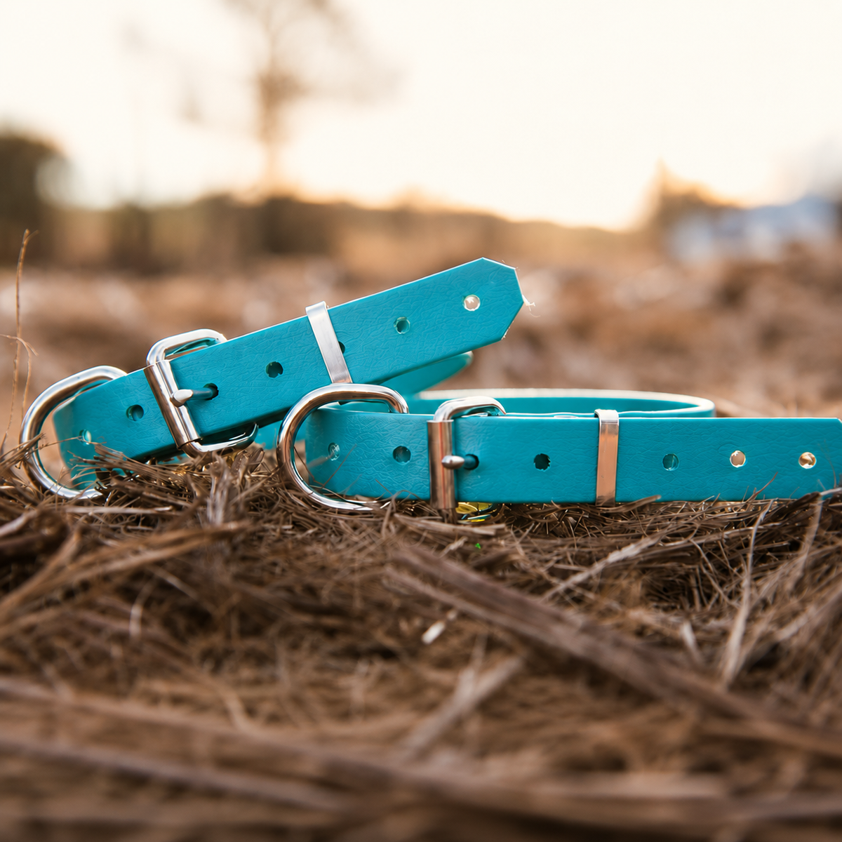 Waterproof BioThane® Dog Collar – Amethyst