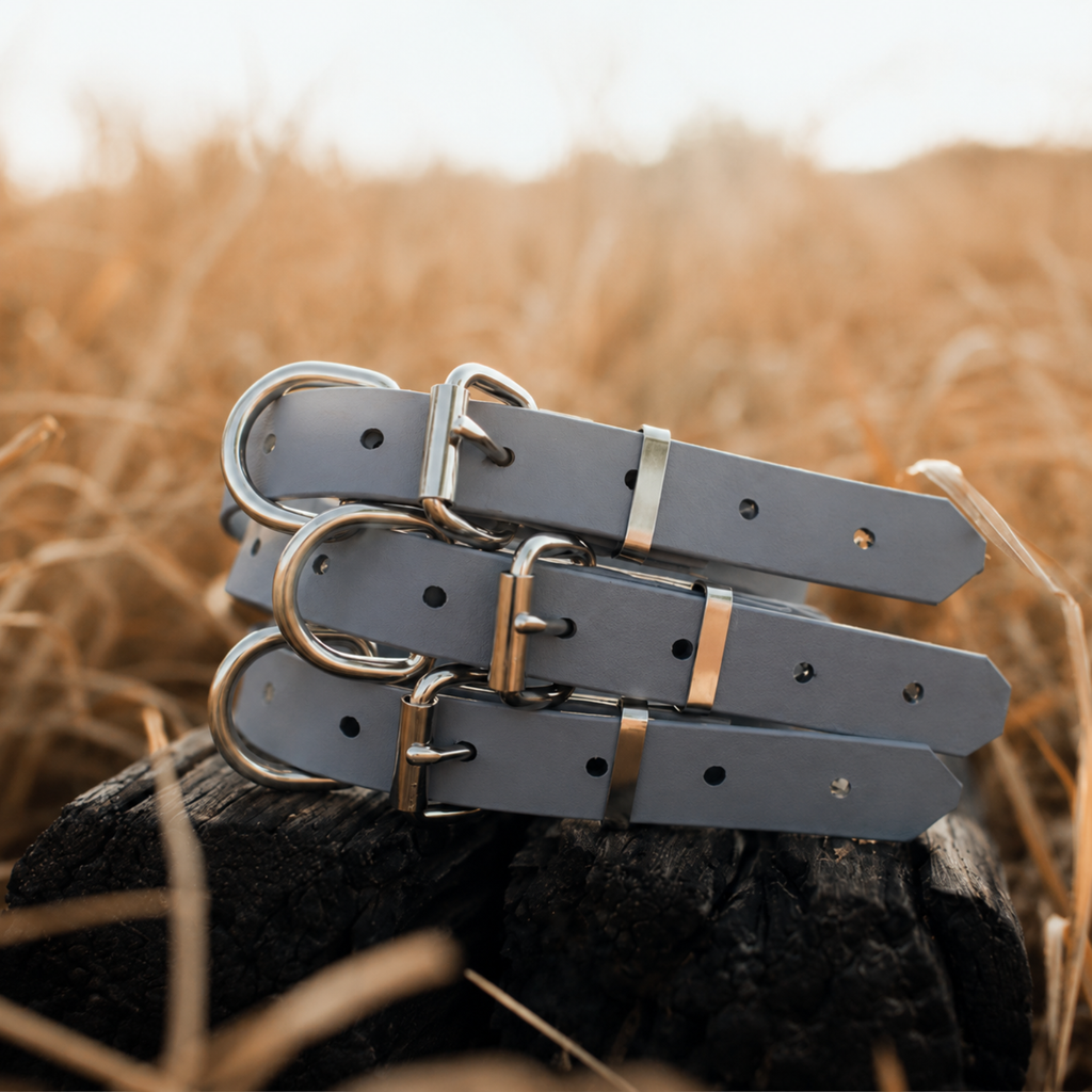 Waterproof BioThane® Dog Collar – Grey
