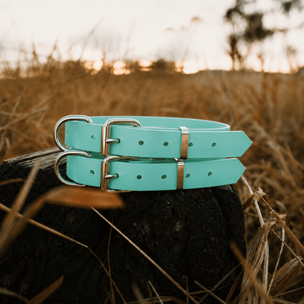Waterproof BioThane® Dog Collar – Mint
