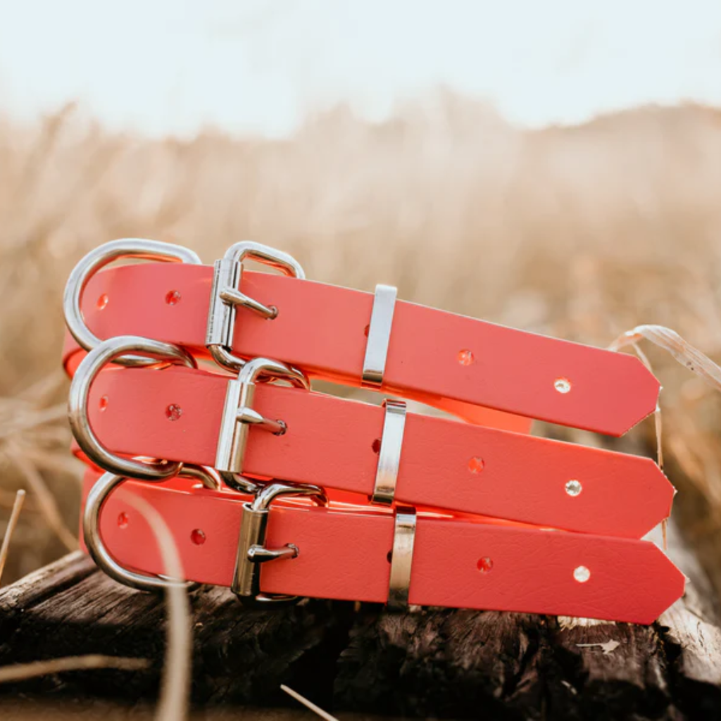 Waterproof BioThane® Dog Collar – Coral