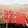 Waterproof BioThane® Dog Collar – Coral