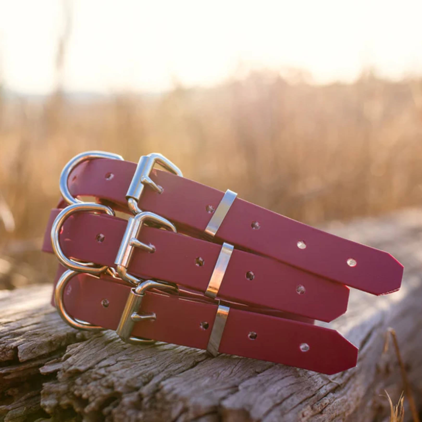 Waterproof BioThane® Dog Collar – Dark Red