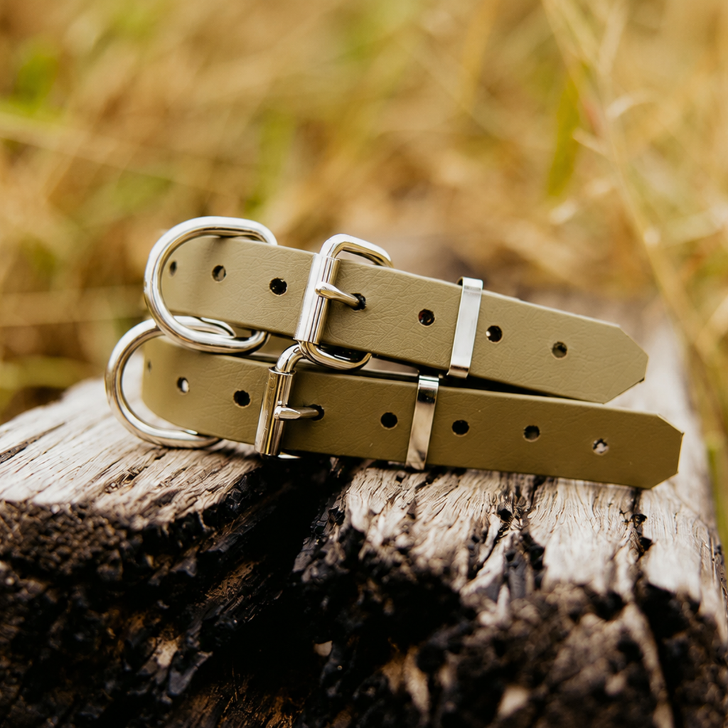 Waterproof BioThane® Dog Collar – Olive