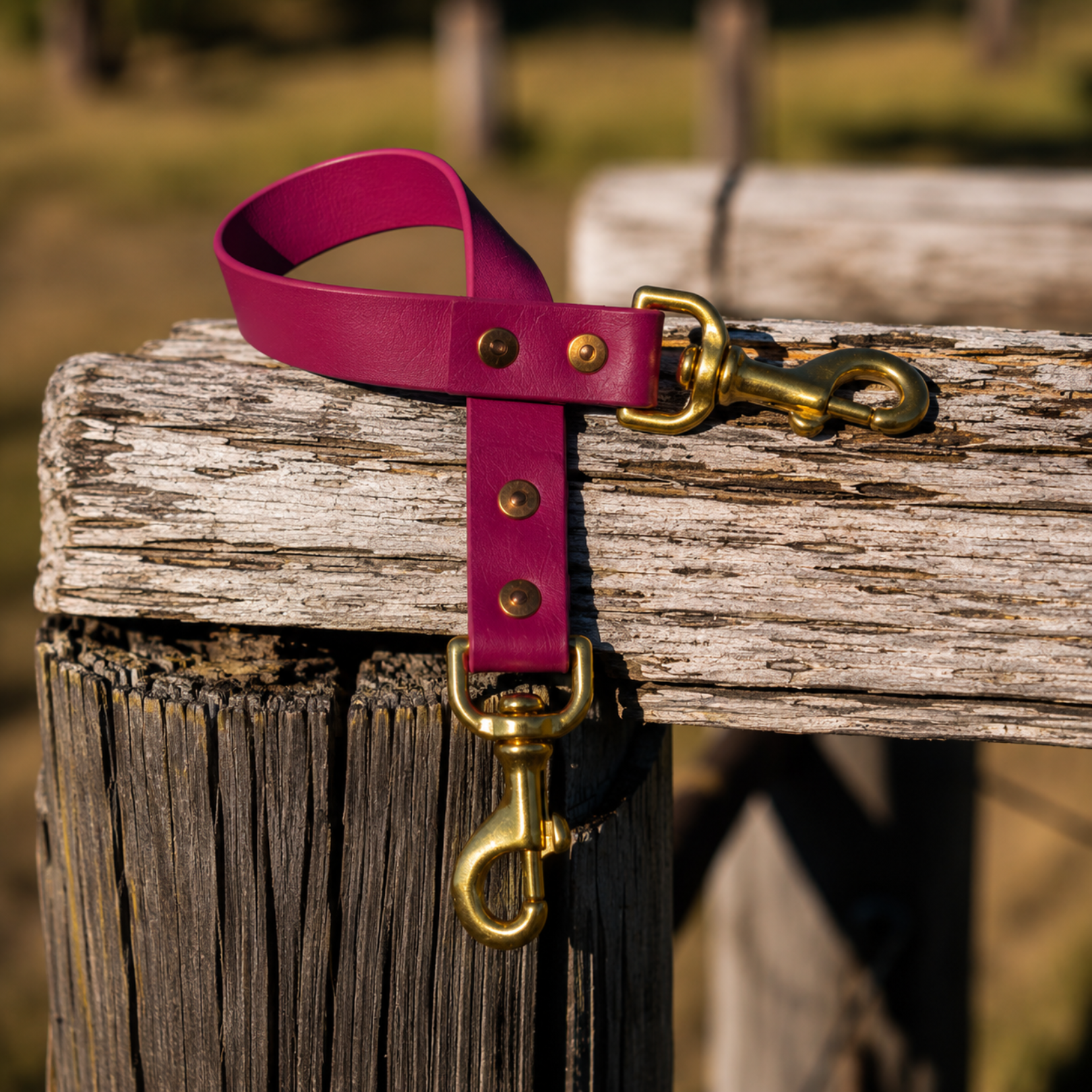 Waterproof BioThane® Dog Ute Tie - Dark Red