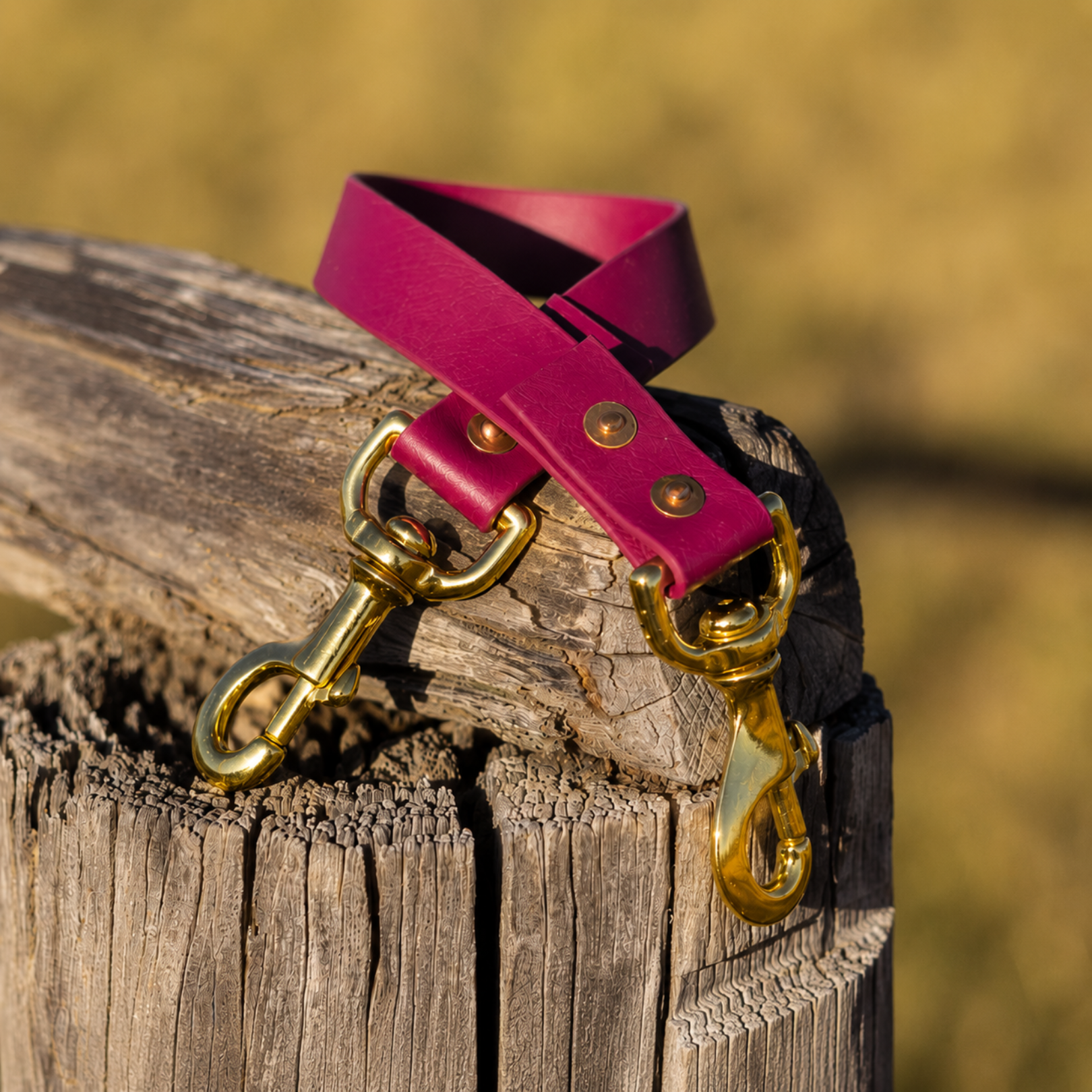 Waterproof BioThane® Dog Ute Tie - Dark Red