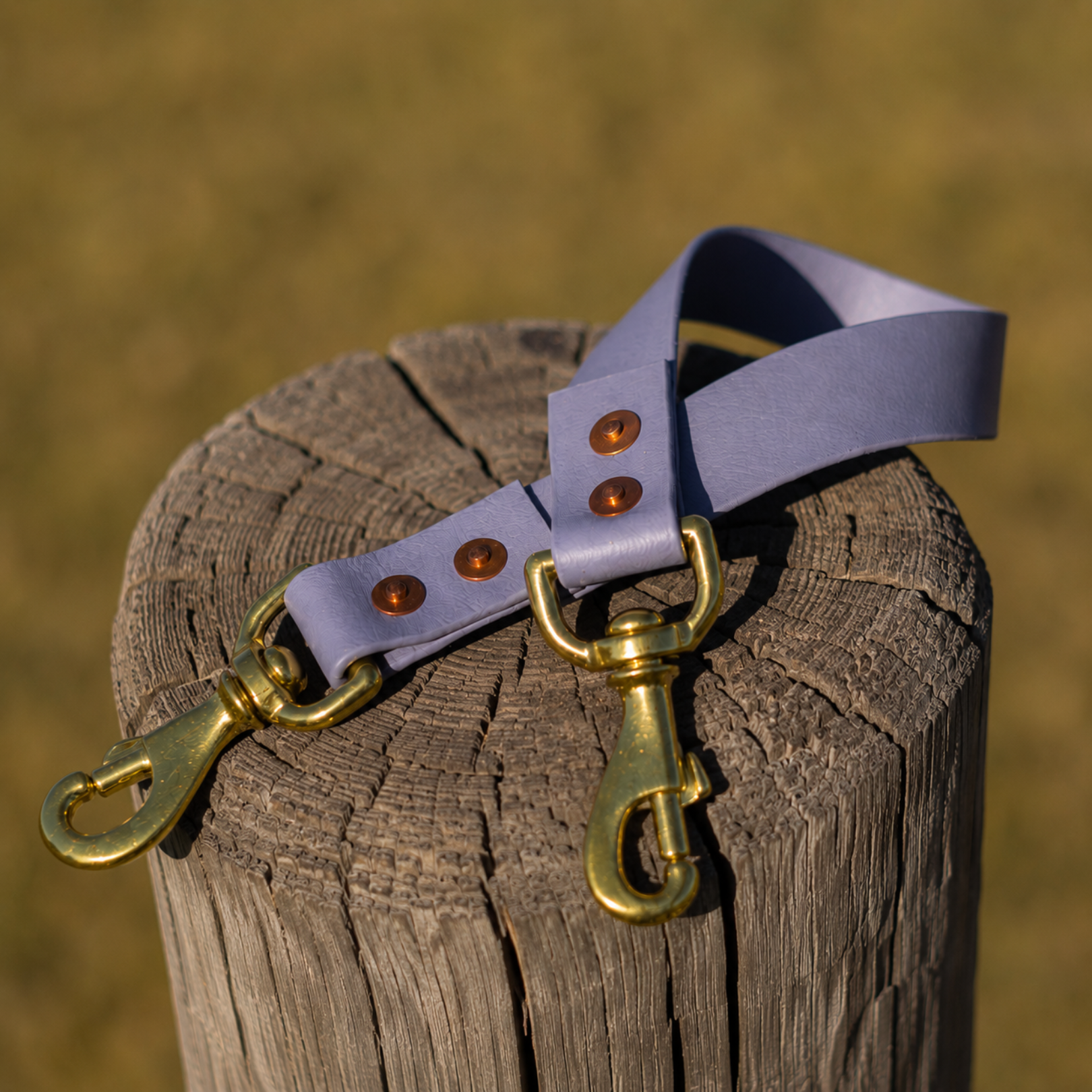 Waterproof BioThane® Dog Ute Tie - Grey