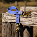 Waterproof BioThane® Dog Ute Tie - Periwinkle