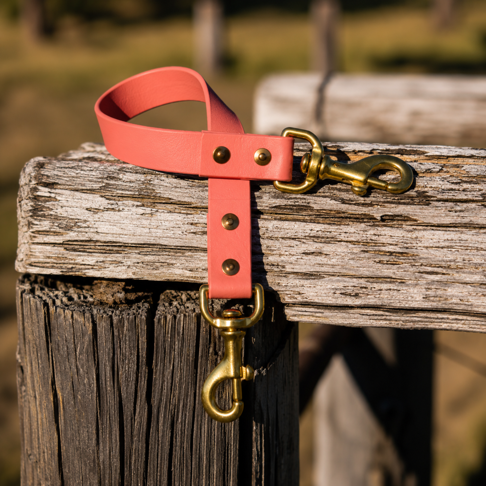 Waterproof BioThane® Dog Ute Tie - Coral
