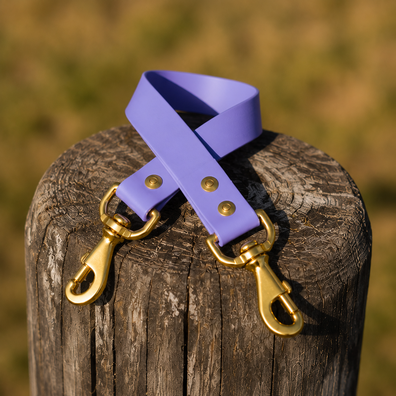 Waterproof BioThane® Dog Ute Tie – Amethyst