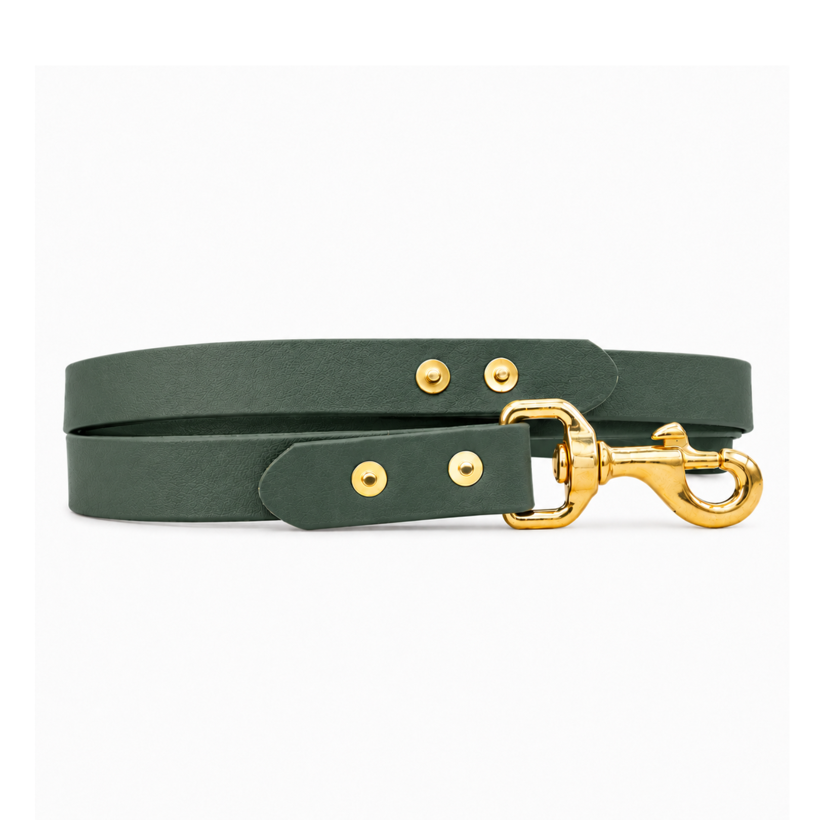 Waterproof BioThane® Dog Lead