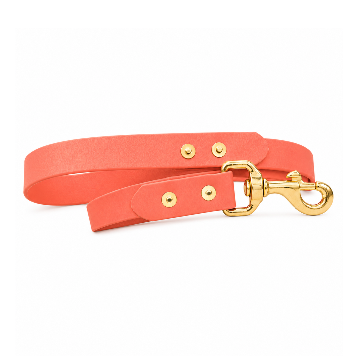 Waterproof BioThane® Dog Lead